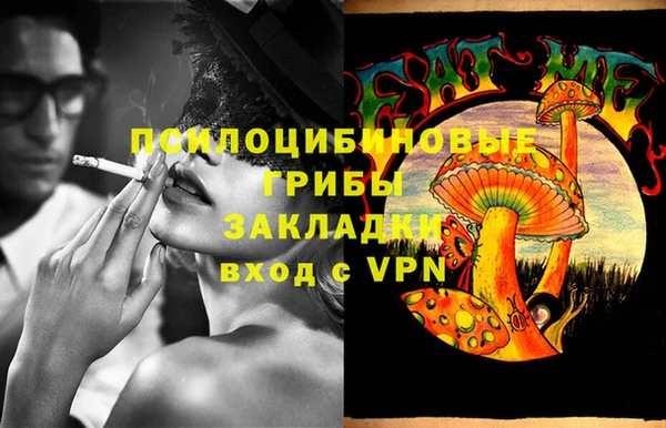 гашик Абинск