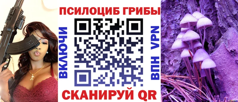 кракен онион  Ужур  Псилоцибиновые грибы GOLDEN TEACHER 